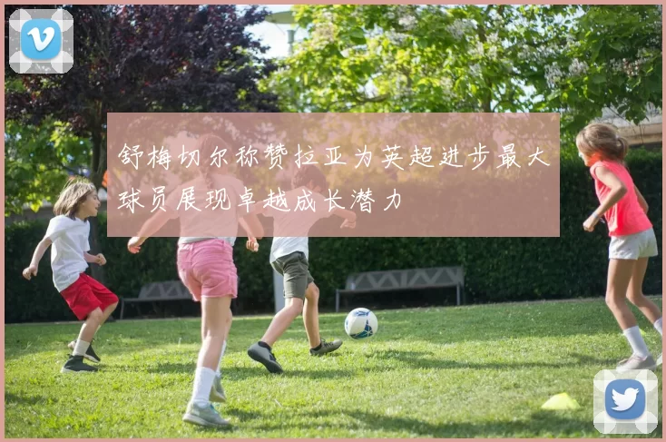 舒梅切尔称赞拉亚为英超进步最大球员展现卓越成长潜力